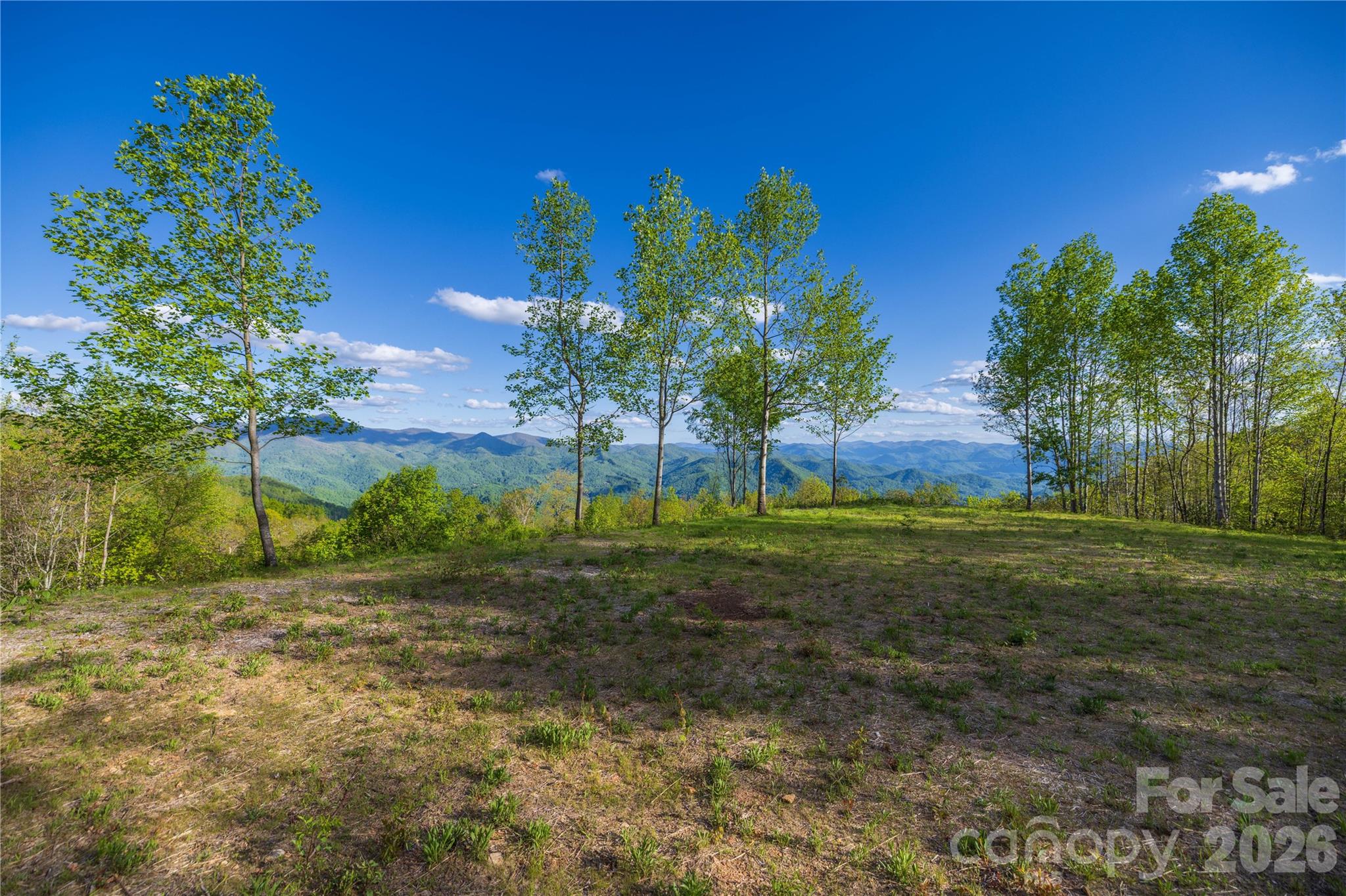 3409 Parris Branch Road Sylva, NC 28779 - Photo 7 of 19
