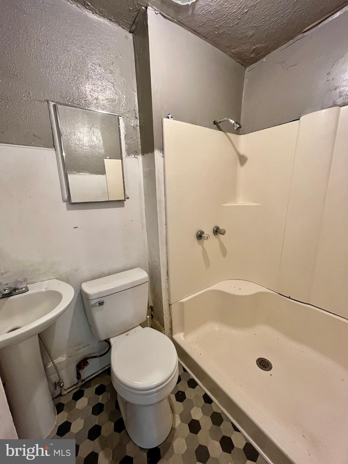 407 Carruthers Street Lexington, VA 24450 - Photo 21 of 29 a bathroom with a sink a toilet and shower