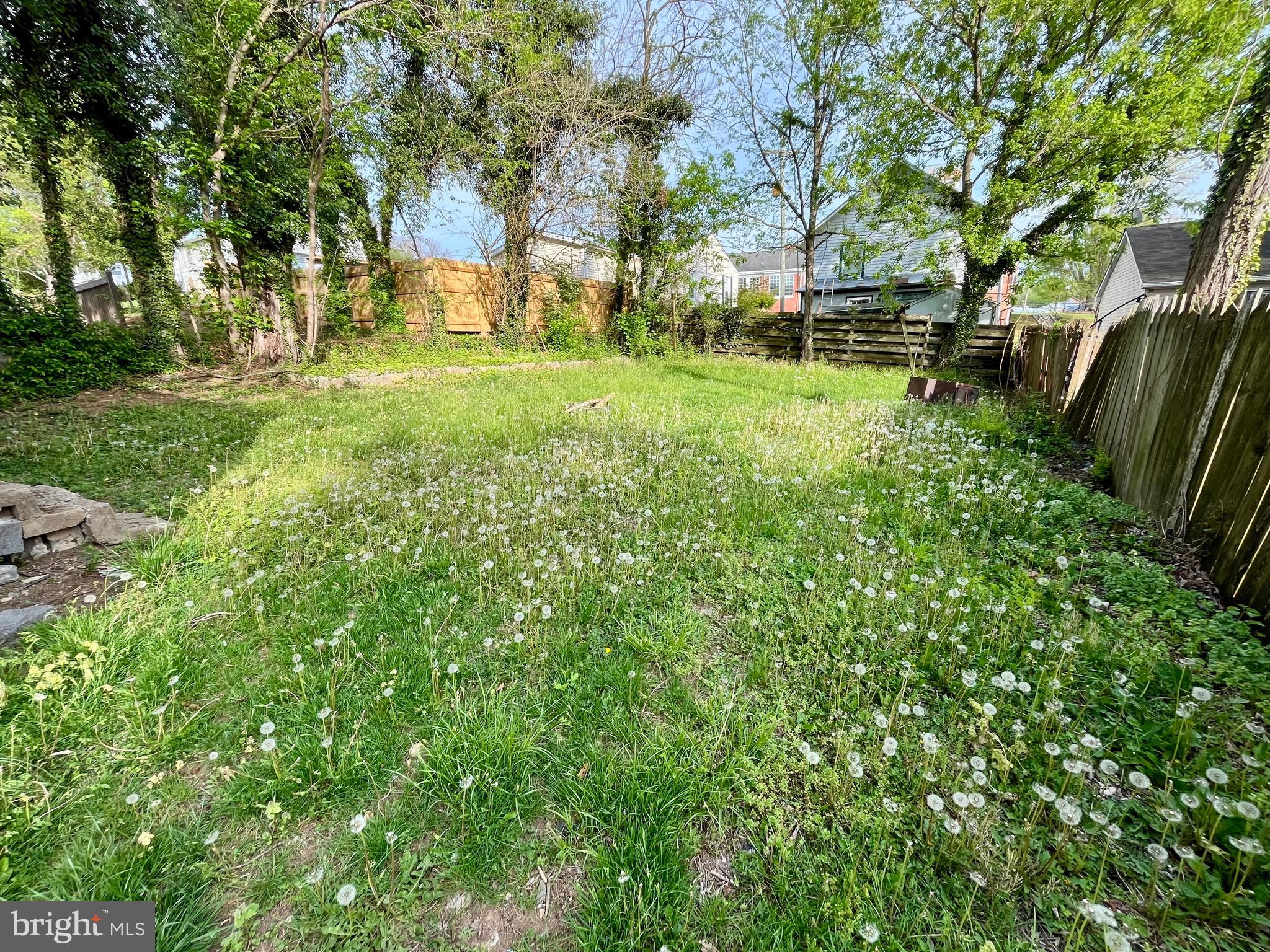 407 Carruthers Street Lexington, VA 24450 - Photo 24 of 29 a view of yard with tree and green space