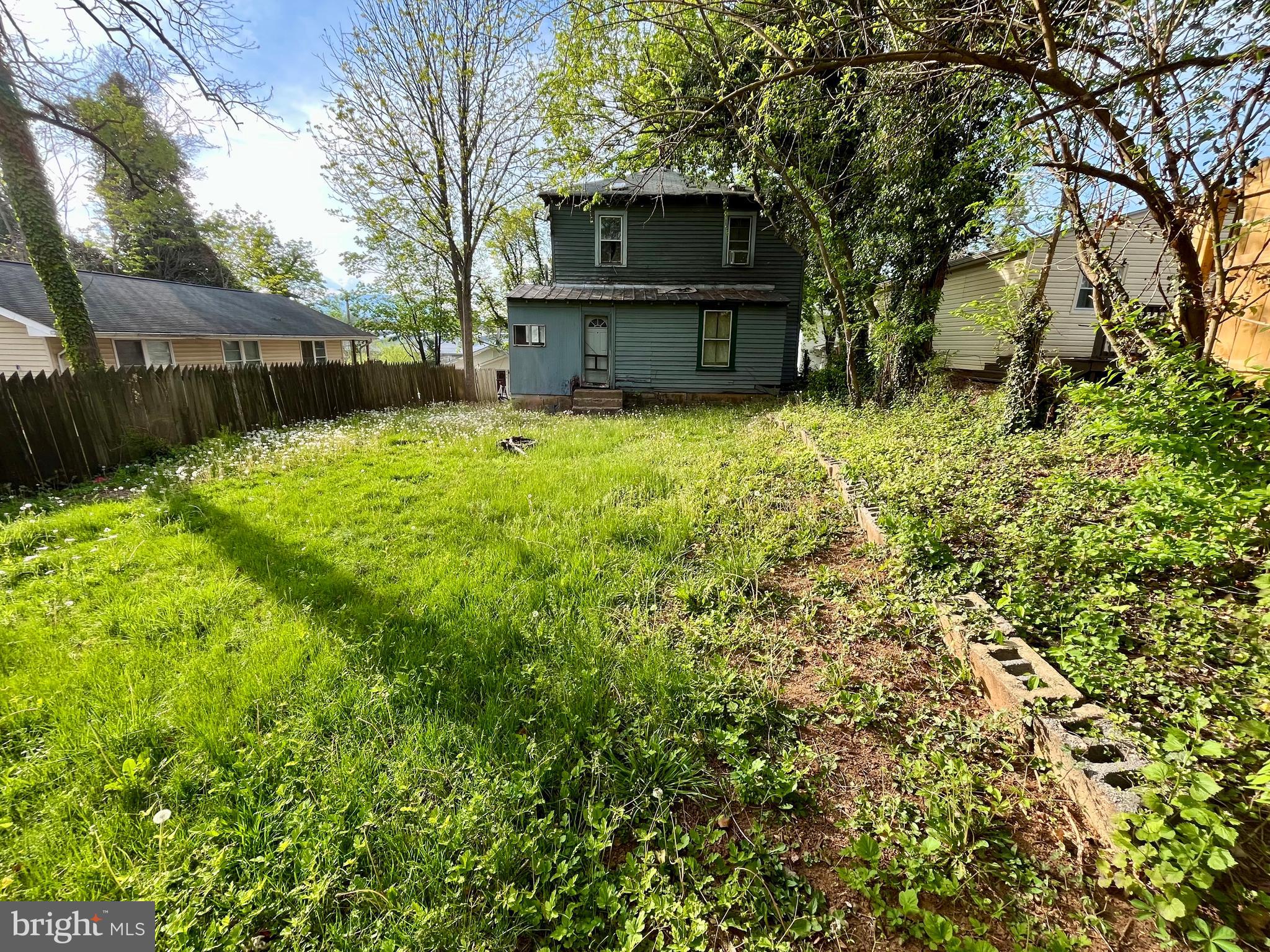 407 Carruthers Street Lexington, VA 24450 - Photo 26 of 29 a view of a backyard with large trees