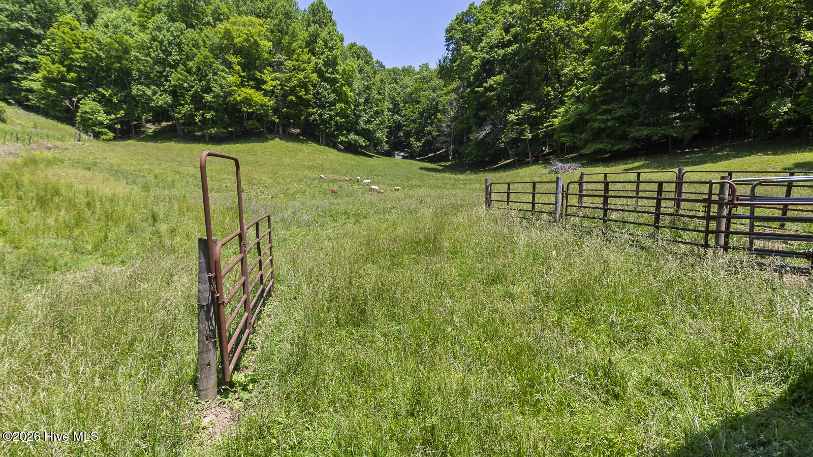 1740 Winding Stairs Road Topton, NC 28781 - Photo 119 of 129