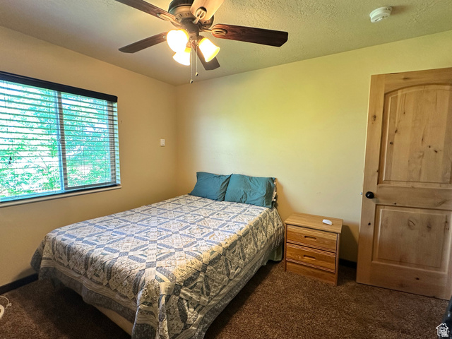 12 Crook Street Fish Haven, ID 83287 - Photo 23 of 35 Carpeted bedroom featuring ceiling fan and a textured ceiling
