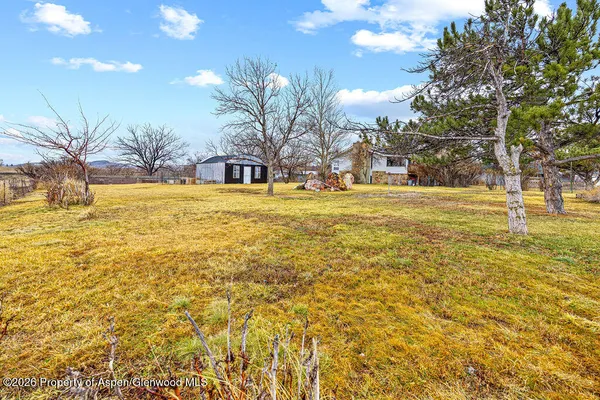 a view of a yard with swimming pool