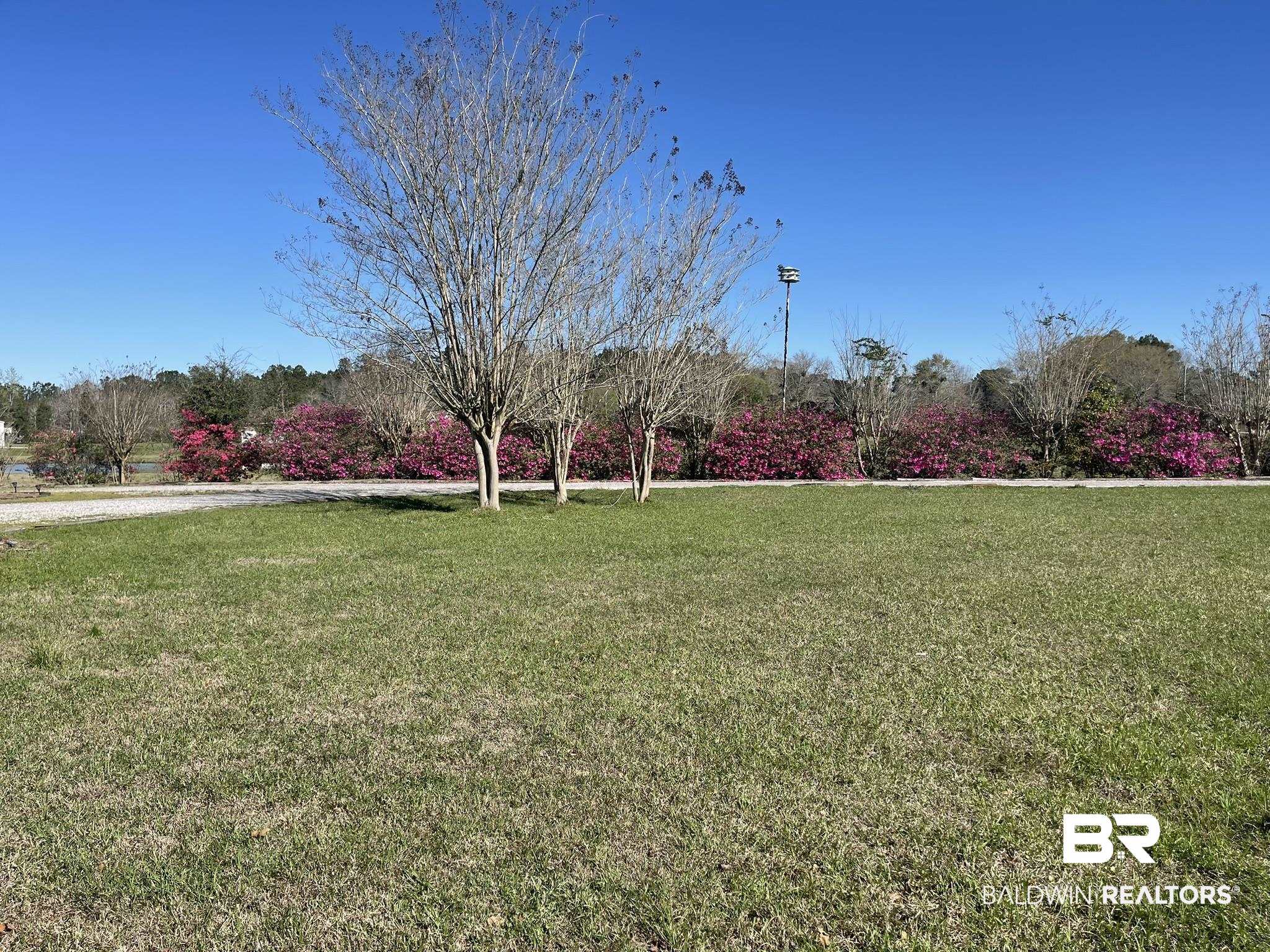 35405 Pine Road South Stapleton, AL 36578 - Photo 28 of 29 View of grassy yard