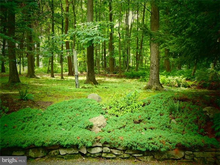 100 Bitting Road Alburtis, PA 18011 - Photo 23 of 25 Gallery Image 23