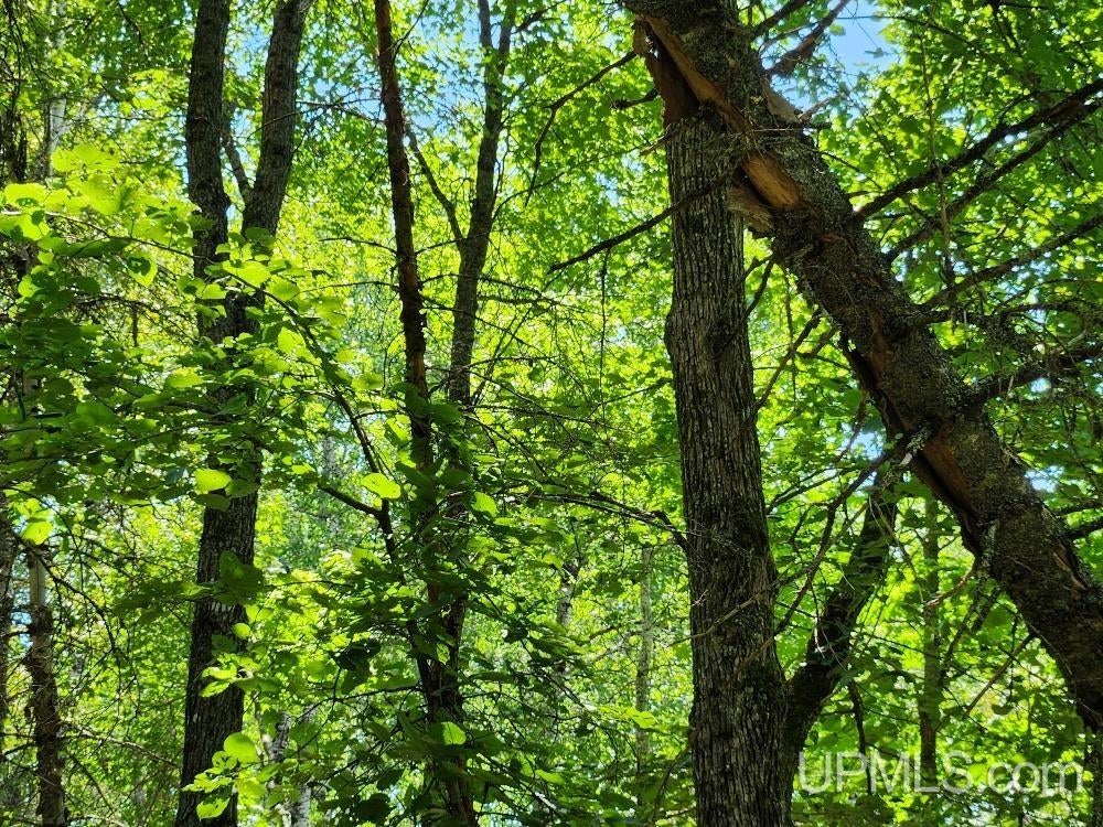 2.63-acres Sheltrow Road, Unit LOT 6PAINT RIVER HIGHLAN Crystal Falls, MI 49920 - Photo 16 of 53 Gallery Image 16