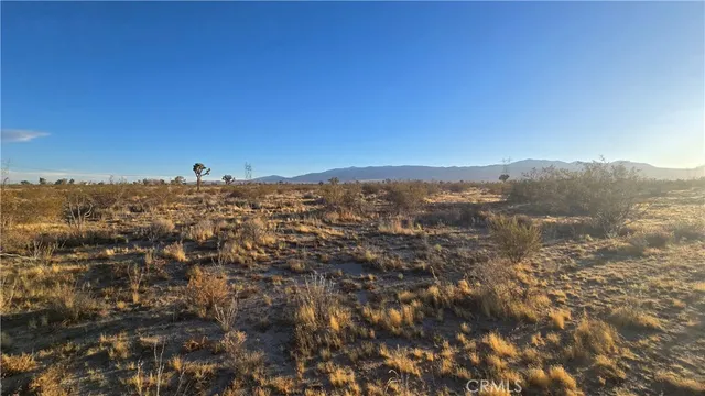 a view of a dry yard and mountain