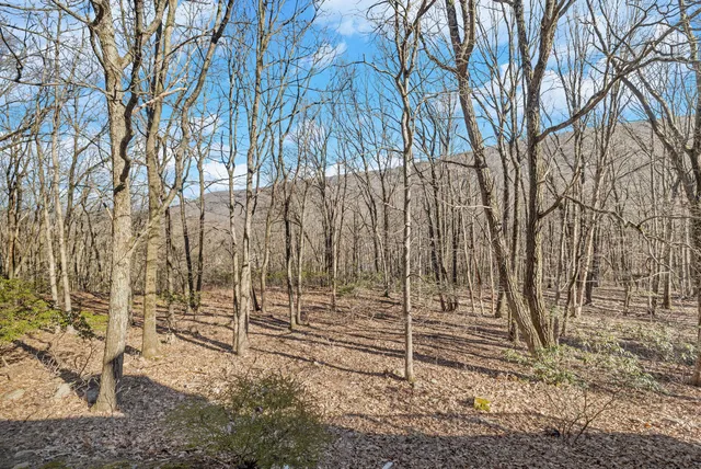 a view of outdoor space with wooden fence