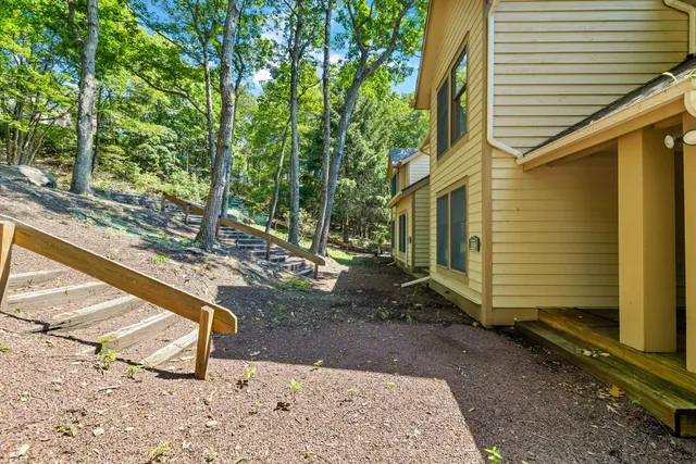 a view of a backyard with plants and large trees