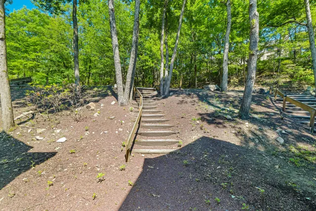 a view of a backyard