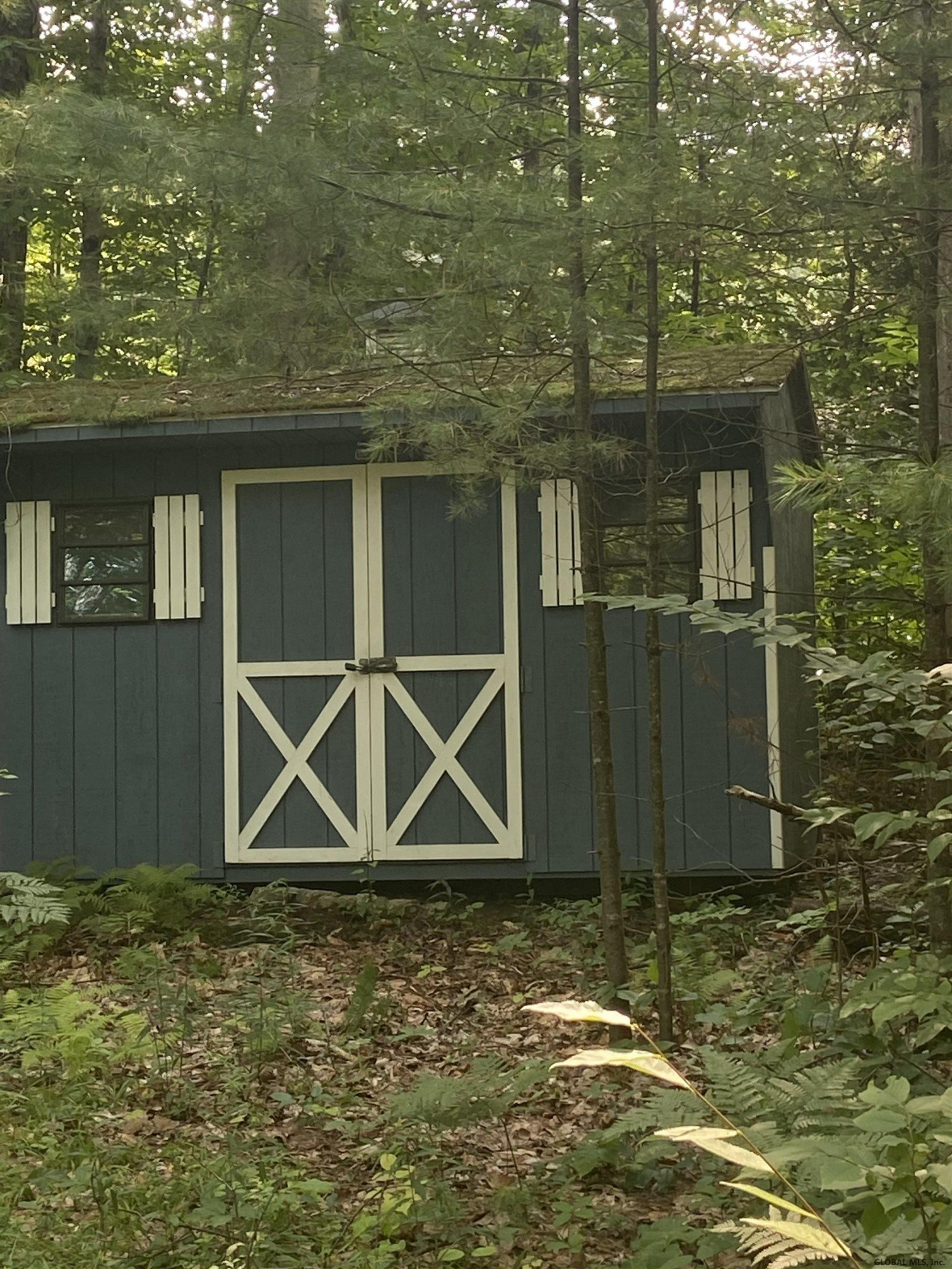 Kathan Road Corinth, NY 12822 - Photo 3 of 3 Photo 3