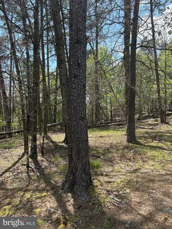 a view of outdoor space with trees