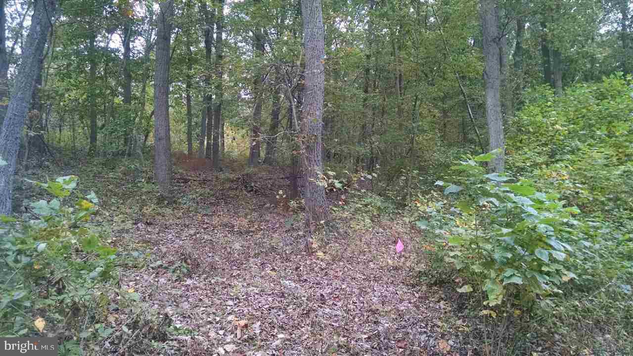 Lot 5 Quarry Road, Unit 5 Delta, PA 17314 - Photo 3 of 4 Gallery Image 3