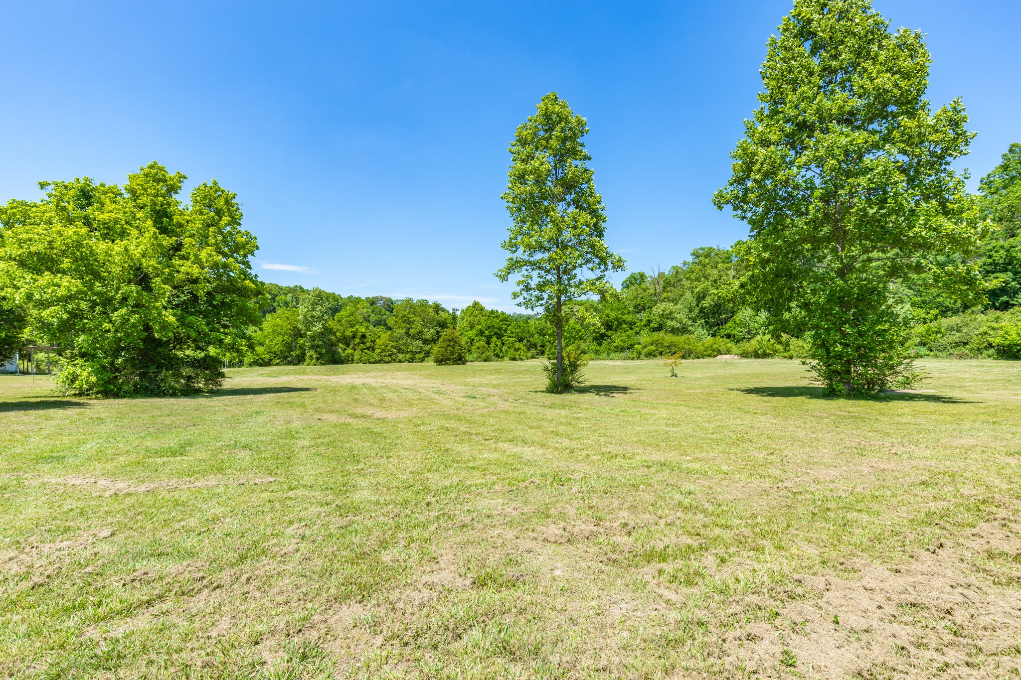 615 Little Swan Creek Road Hohenwald, TN 38462 - Photo 52 of 66