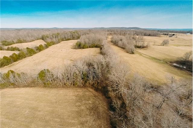 0 Wright Bend Road Smithville, TN 37166 - Photo 8 of 14 More rolling hills make this so serene!