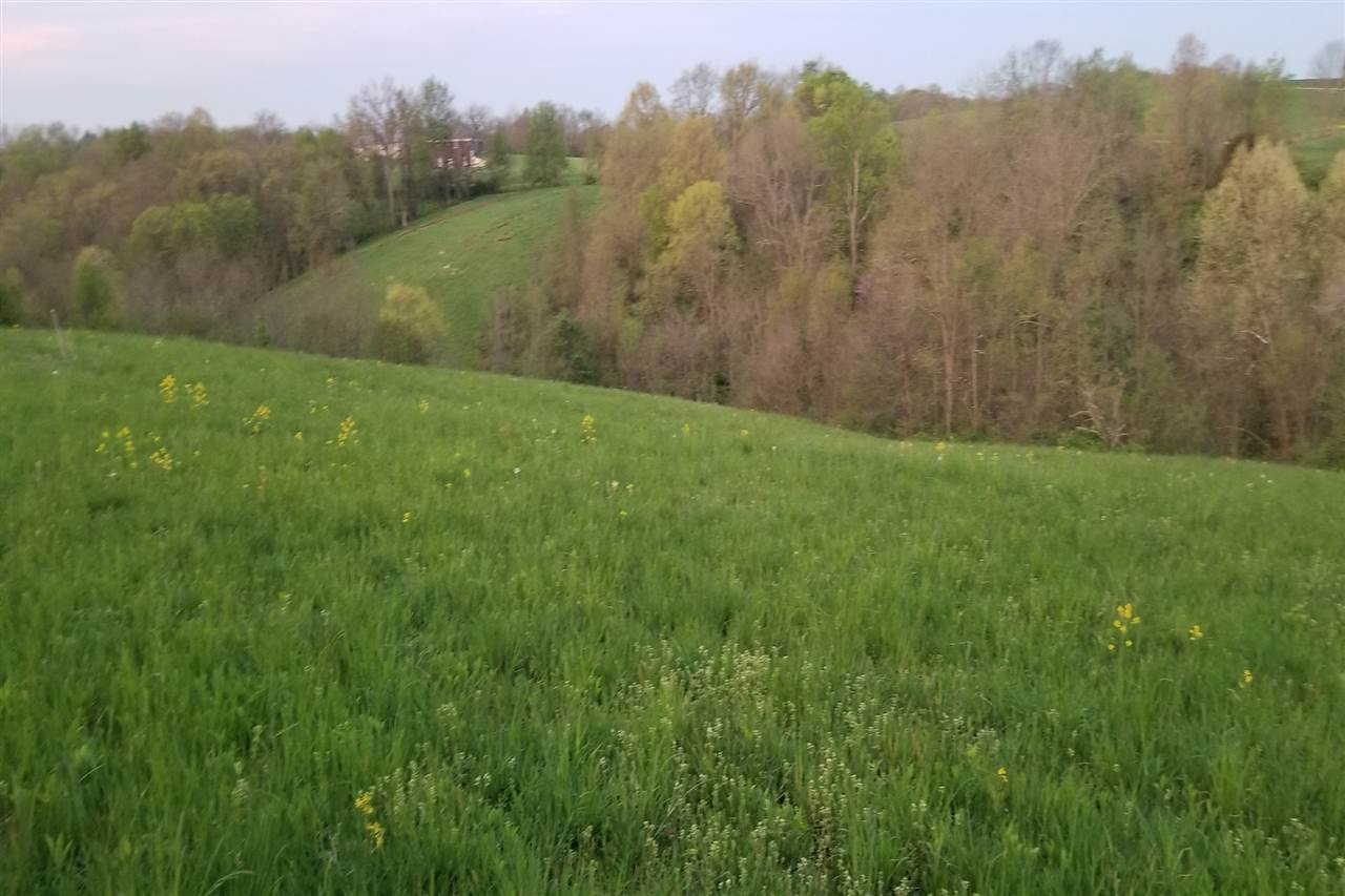 12237 Eagle Ridge Walton, KY 41094 - Photo 7 of 8 Gallery Image 7