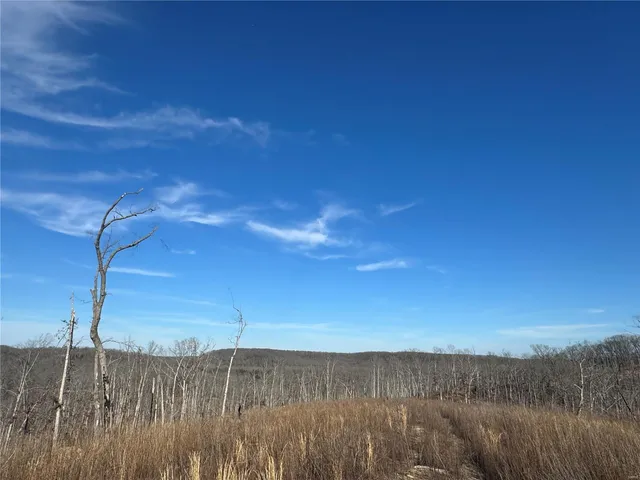 $112,000 | 0 Highway Y Dixon Mo 65459, Dixon, MO 65459