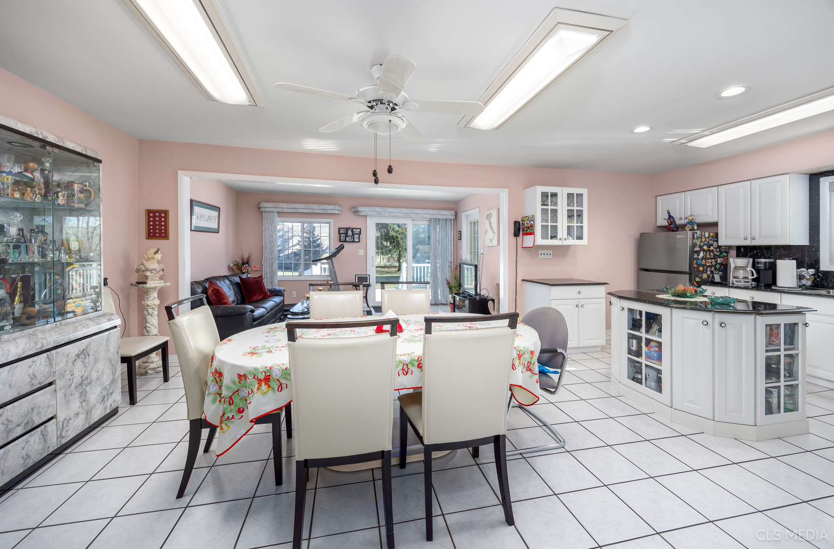 225 East River Road Des Plaines, IL 60016 - Photo 11 of 26 Gallery Image 11