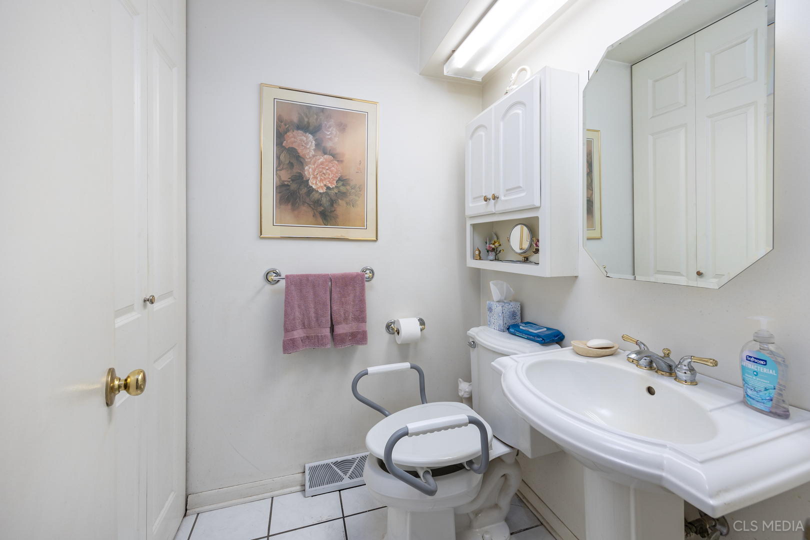 225 East River Road Des Plaines, IL 60016 - Photo 15 of 26 Gallery Image 15