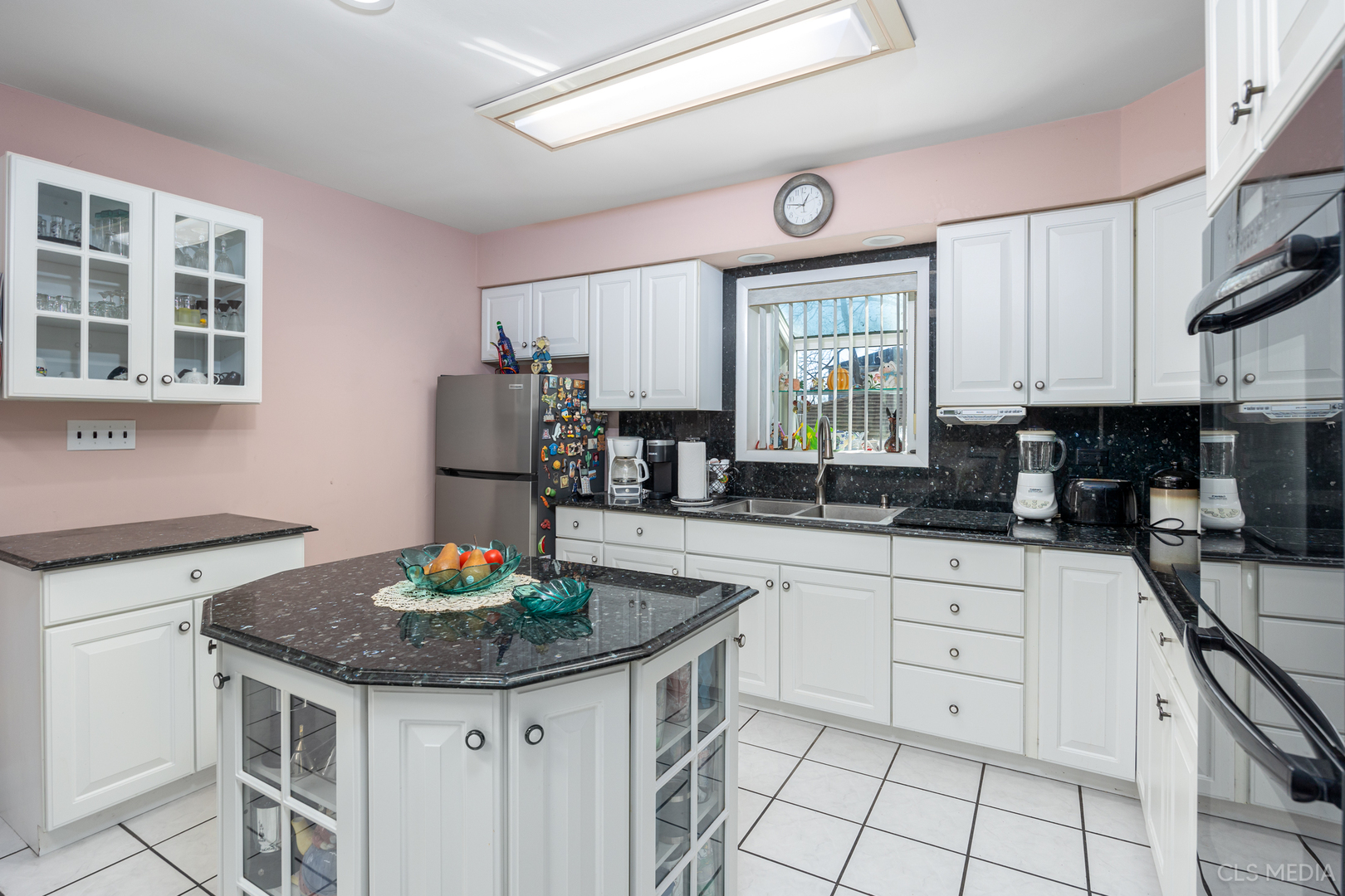 225 East River Road Des Plaines, IL 60016 - Photo 9 of 26 Gallery Image 9