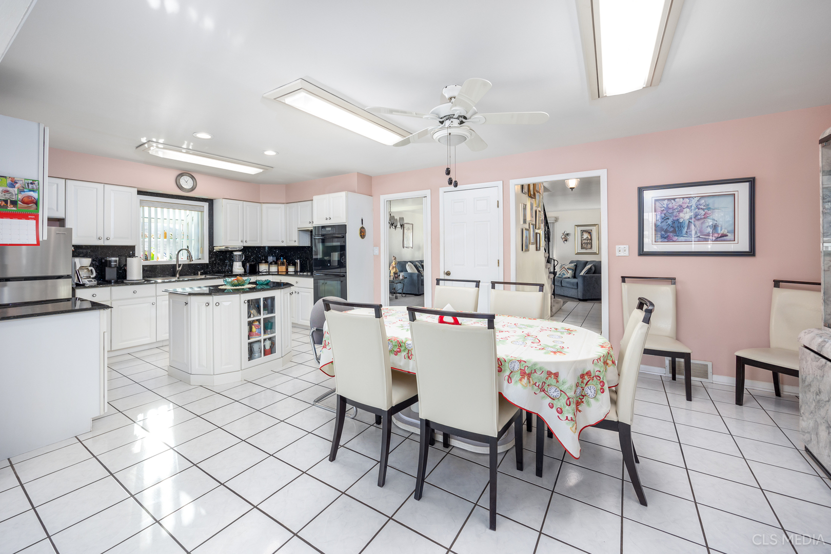 225 East River Road Des Plaines, IL 60016 - Photo 10 of 26 Gallery Image 10