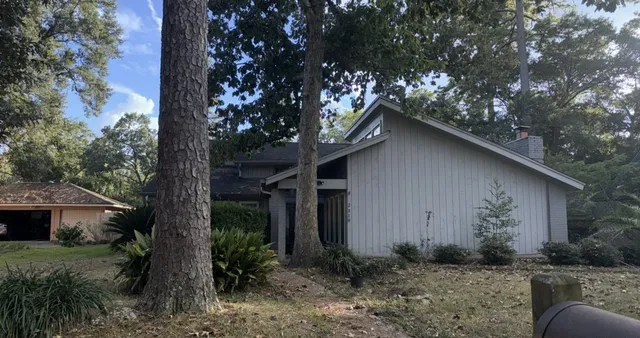 a backyard of a house with plants and large tree
