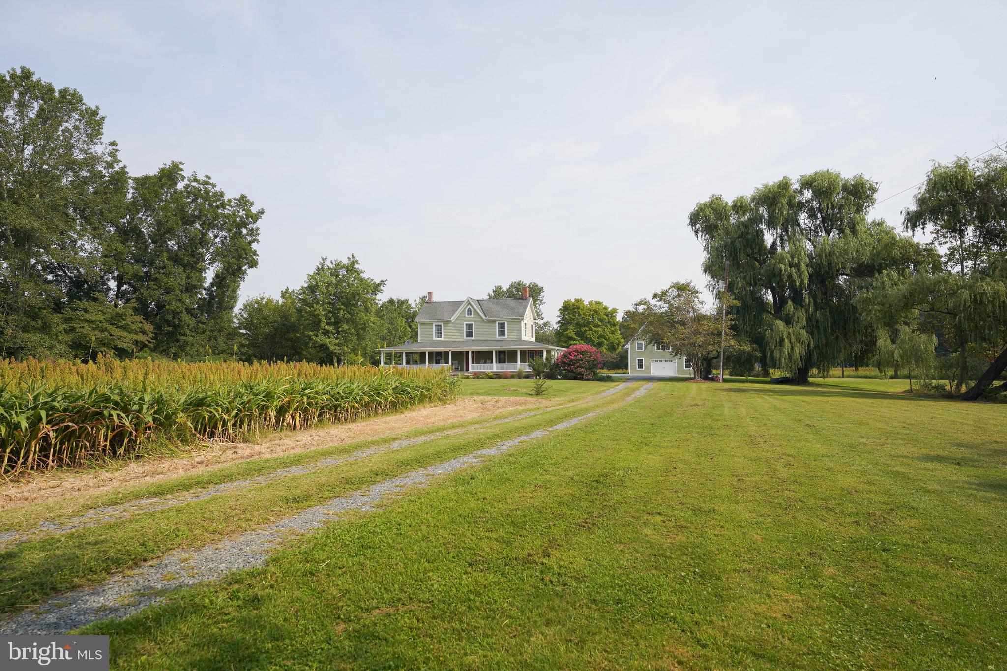 6601 Cherry Walk Road Hebron, MD 21830 - Photo 48 of 55