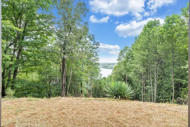 $775,000 | 1121 Buck Tail Court, Pittsville, VA 24139