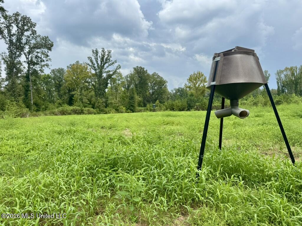 1 Chapel Hill Road Utica, MS 39175 - Photo 89 of 107 0ADAF84D-C9E1-4E75-A379-853ADFC19A79_1_1