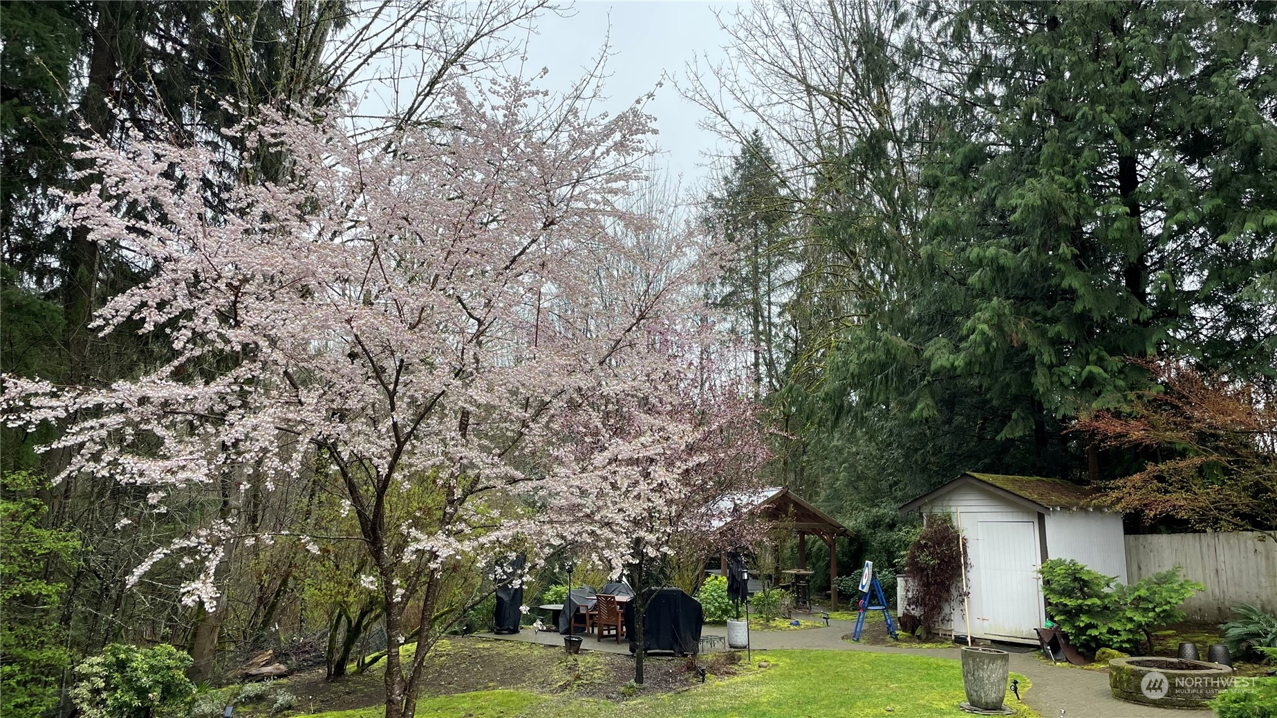25927 Southeast 164th Street Issaquah, WA 98027 - Photo 40 of 40