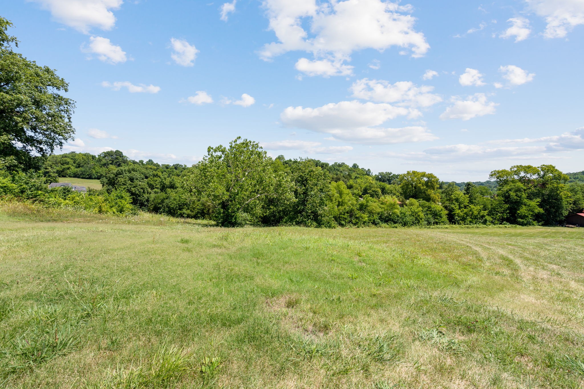 1711 Joe Pope Road Thompson's Station, TN 37179 - Photo 7 of 14 a view of outdoor space and yard