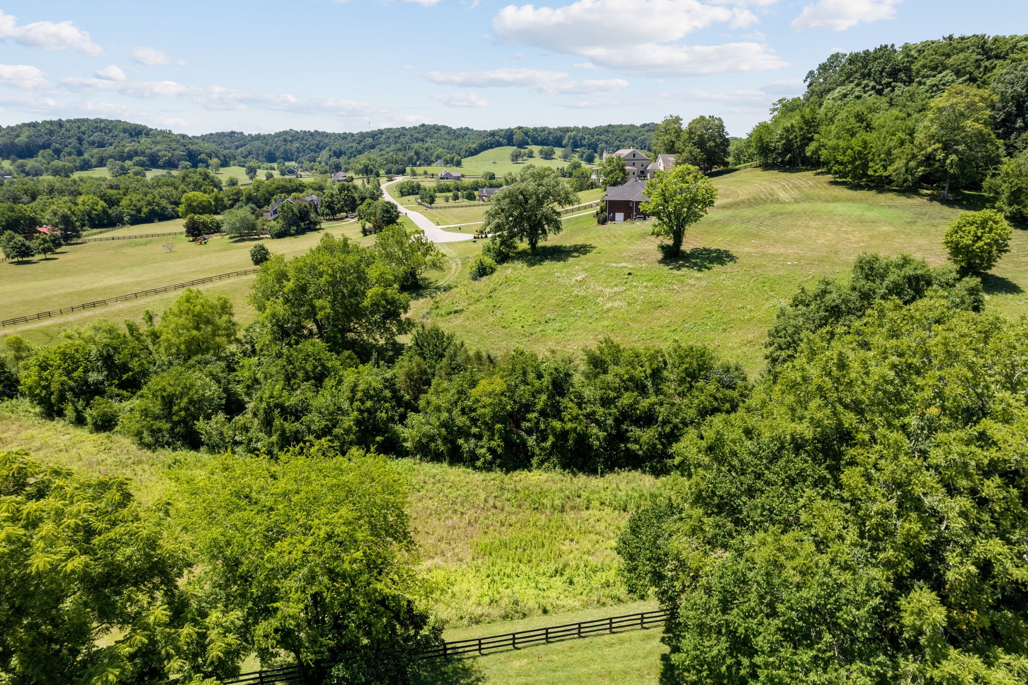 1711 Joe Pope Road Thompson's Station, TN 37179 - Photo 8 of 14 a view of a lake with houses