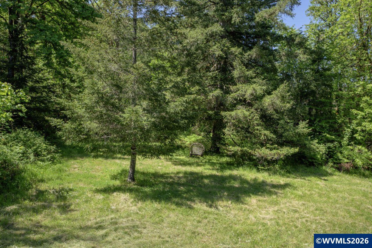 23830 Old Peak Road Philomath, OR 97370 - Photo 32 of 48