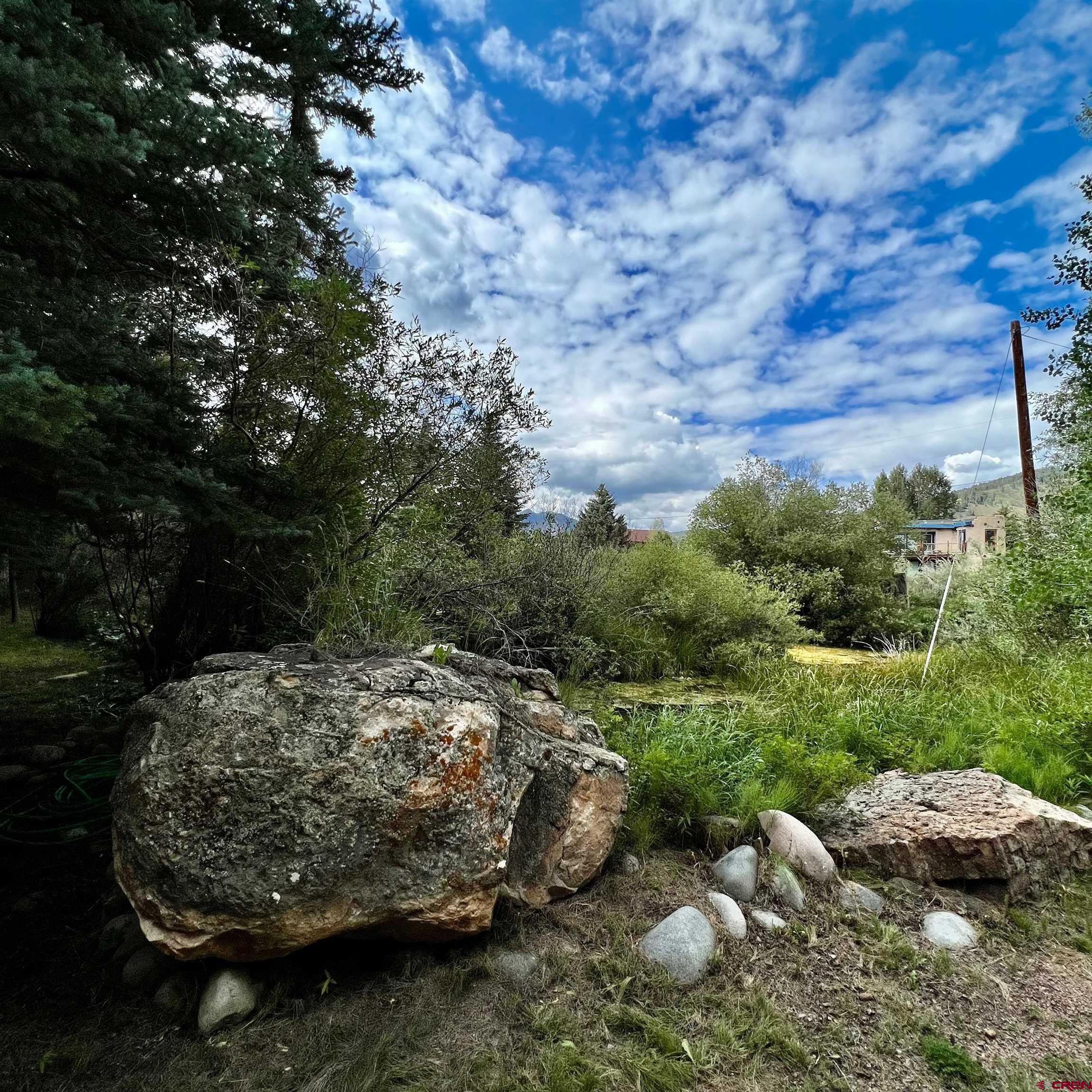 202 Lower Allen Road Crested Butte, CO 81224 - Photo 18 of 21 a view of a backyard with plants and outdoor space