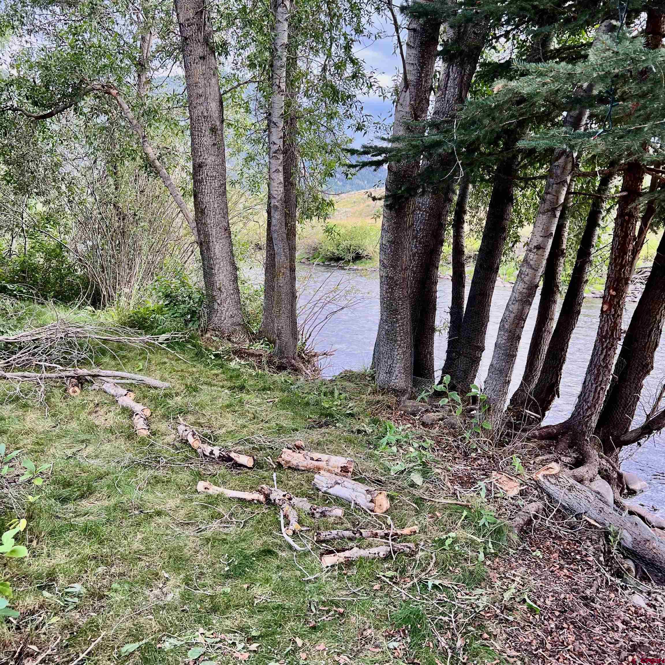 202 Lower Allen Road Crested Butte, CO 81224 - Photo 2 of 21 a backyard of a house with lots of plants and large trees