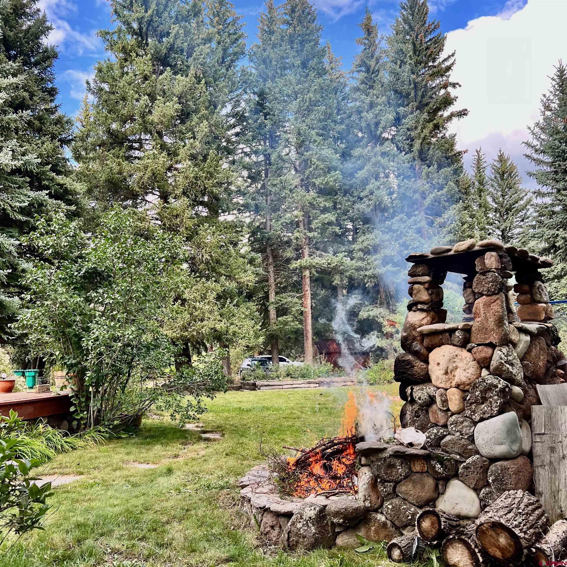 202 Lower Allen Road Crested Butte, CO 81224 - Photo 3 of 21 a backyard of a house with lots of green space