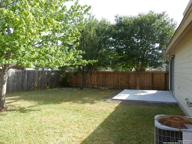 a view of a yard with plants and a large tree