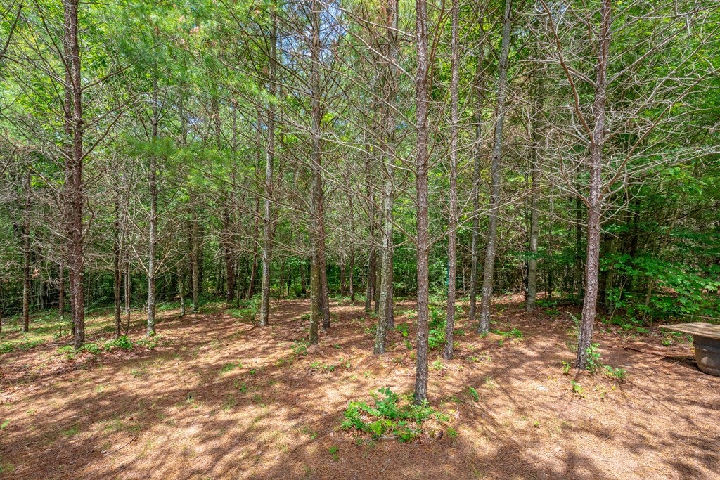 474 Scratch Gravel Road, Unit 96 Ivanhoe, VA 24350 - Photo 21 of 75 Gallery Image 21