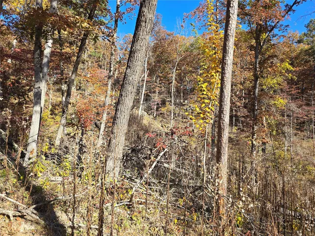 $217,250 | 0 Forest Drive, Houston, MO 65483