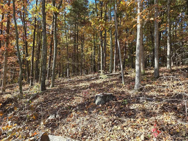 $217,250 | 0 Forest Drive, Houston, MO 65483