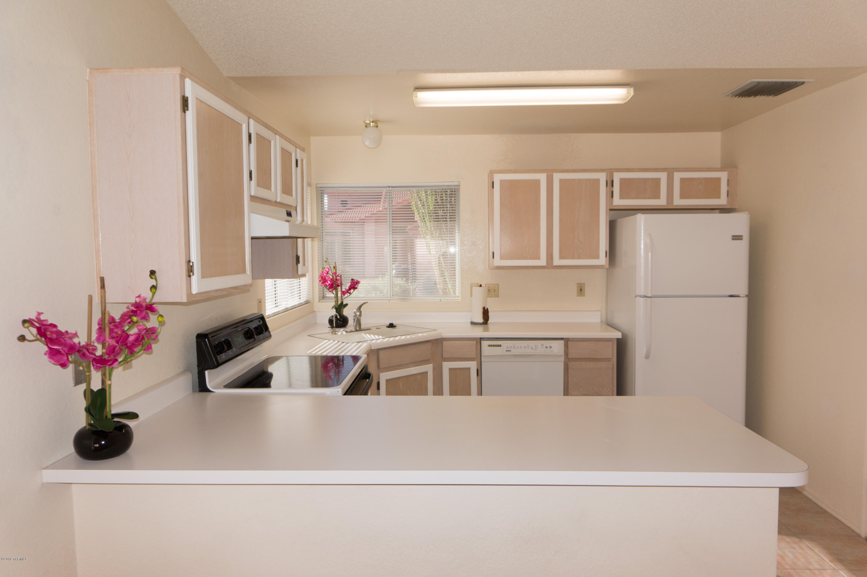 3571 West Sky Ridge Loop Tucson, AZ 85742 - Photo 13 of 35