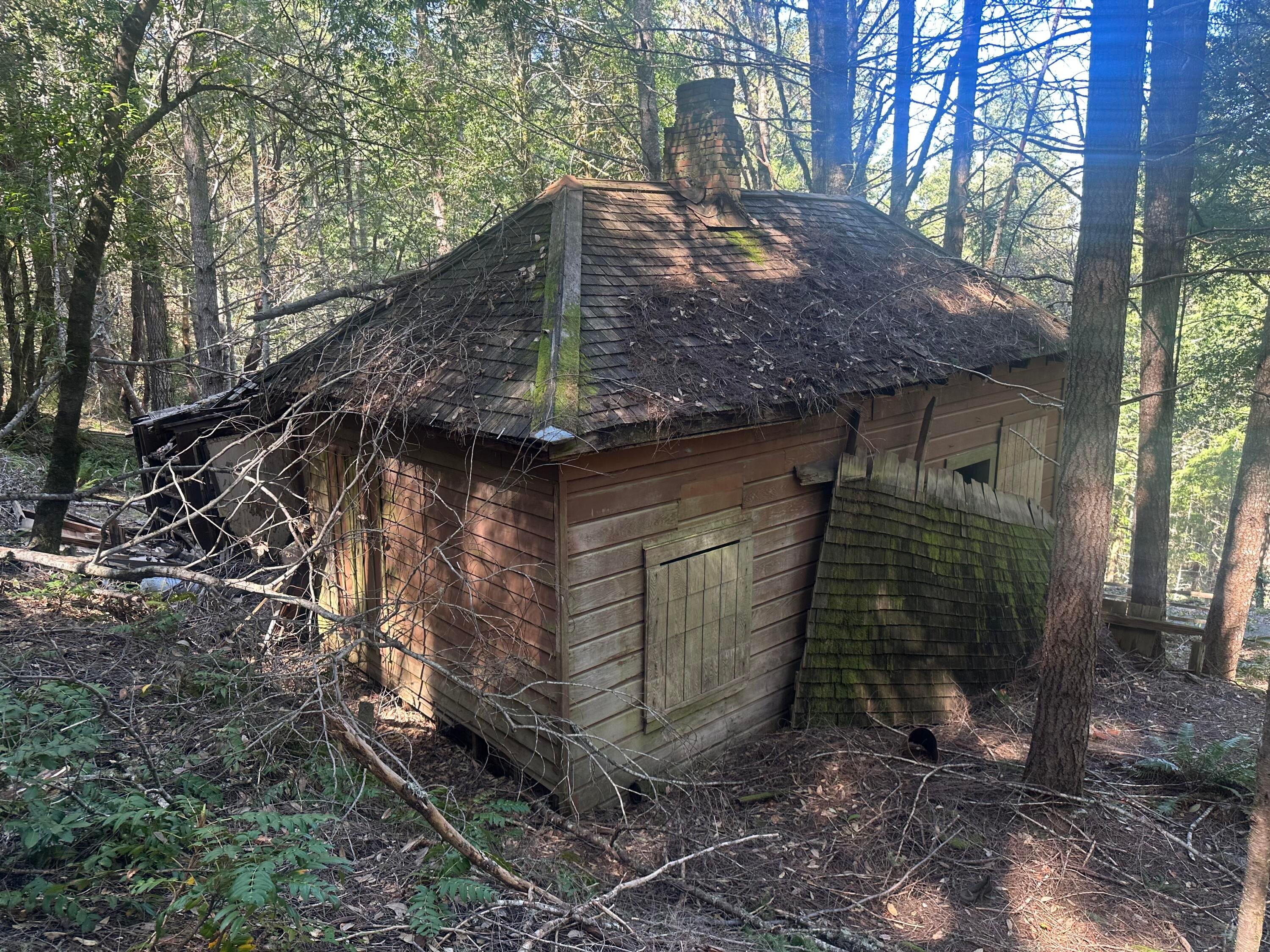 19624 Dyerville Loop Road Myers Flat, CA 95554 - Photo 13 of 23
