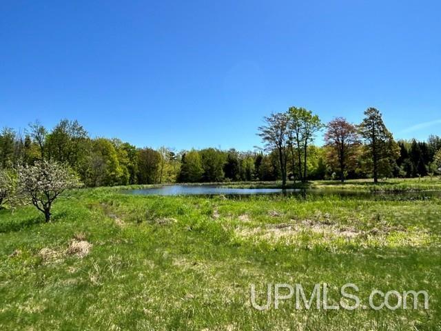 Tbd Tbd Bellaire Road Baraga, MI 49908 - Photo 36 of 49