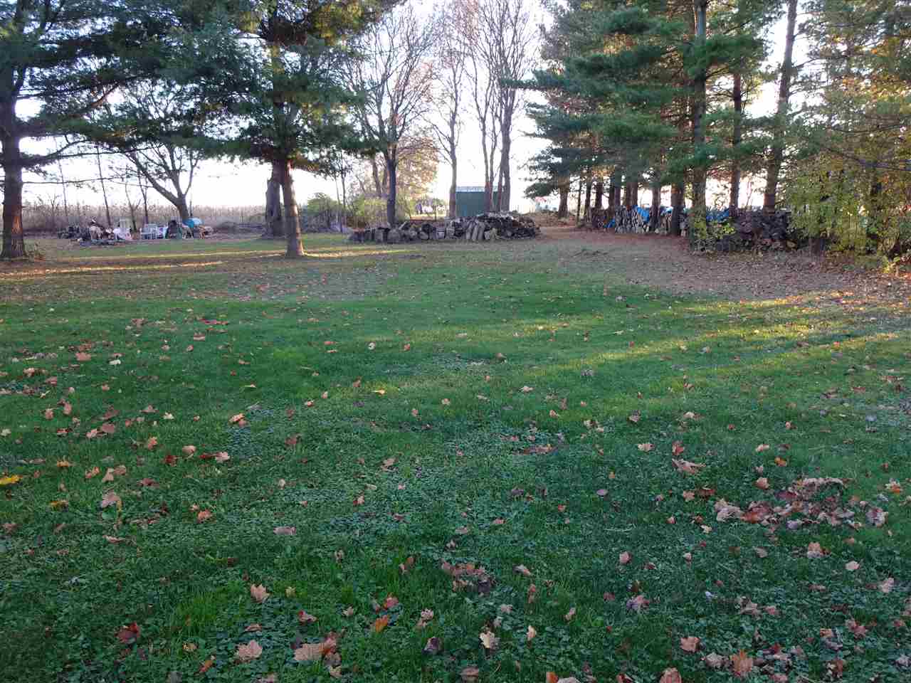 10807 Cemetery Road Capron, IL 61012 - Photo 4 of 7 a view of yard with trees
