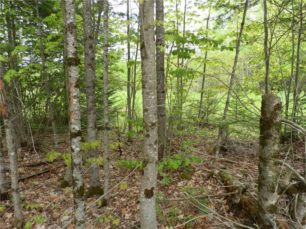 Lot 7 East Bottle Lake Road Springfield, ME 04487 - Photo 14 of 16 Photo