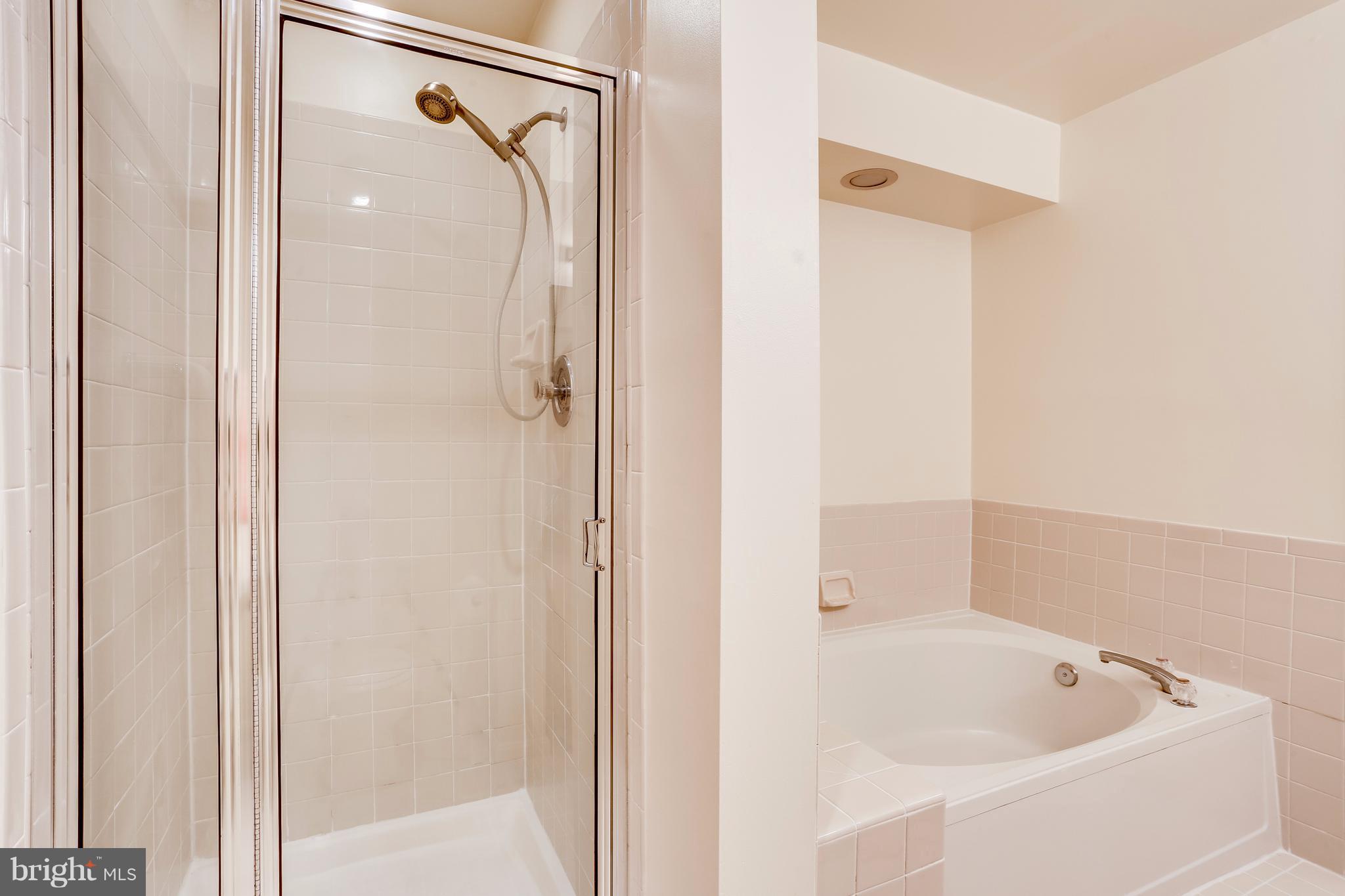 5217 Columbia Road, Unit 661 Columbia, MD 21044 - Photo 18 of 28 Bath (Master)-Sunken tub & separate shower