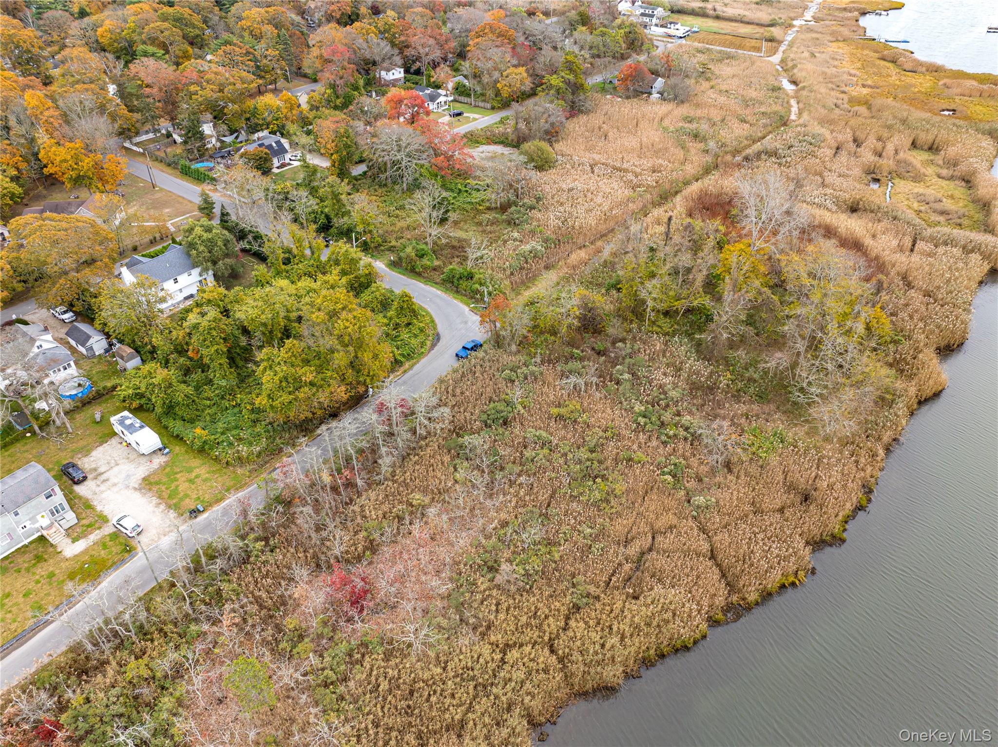 West Riviera Drive Mastic Beach, NY 11951 - Photo 4 of 9 a view of a yard with plants