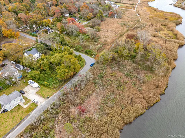 a view of a garden with flowers