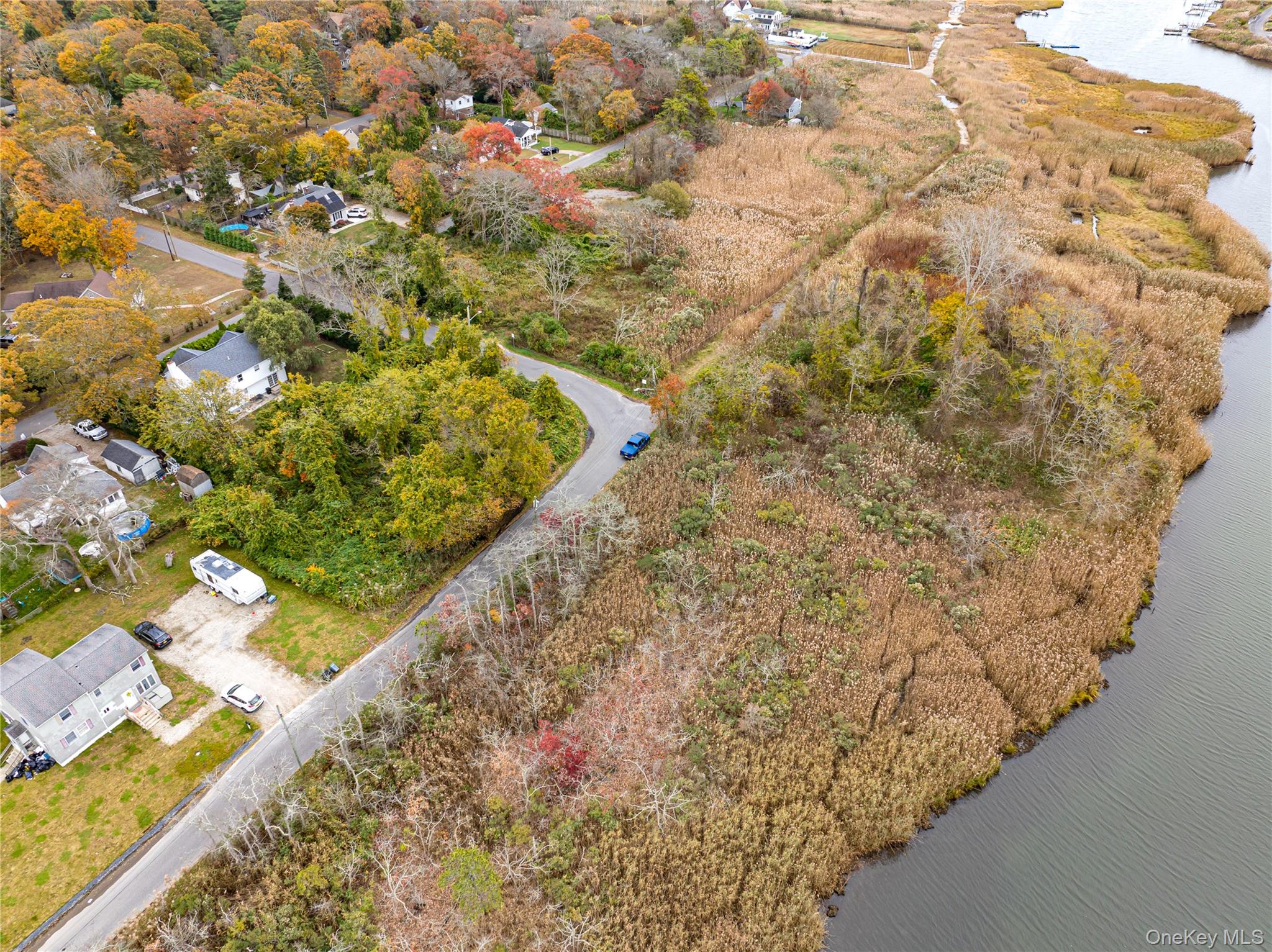 West Riviera Drive Mastic Beach, NY 11951 - Photo 5 of 9 a view of a garden with flowers