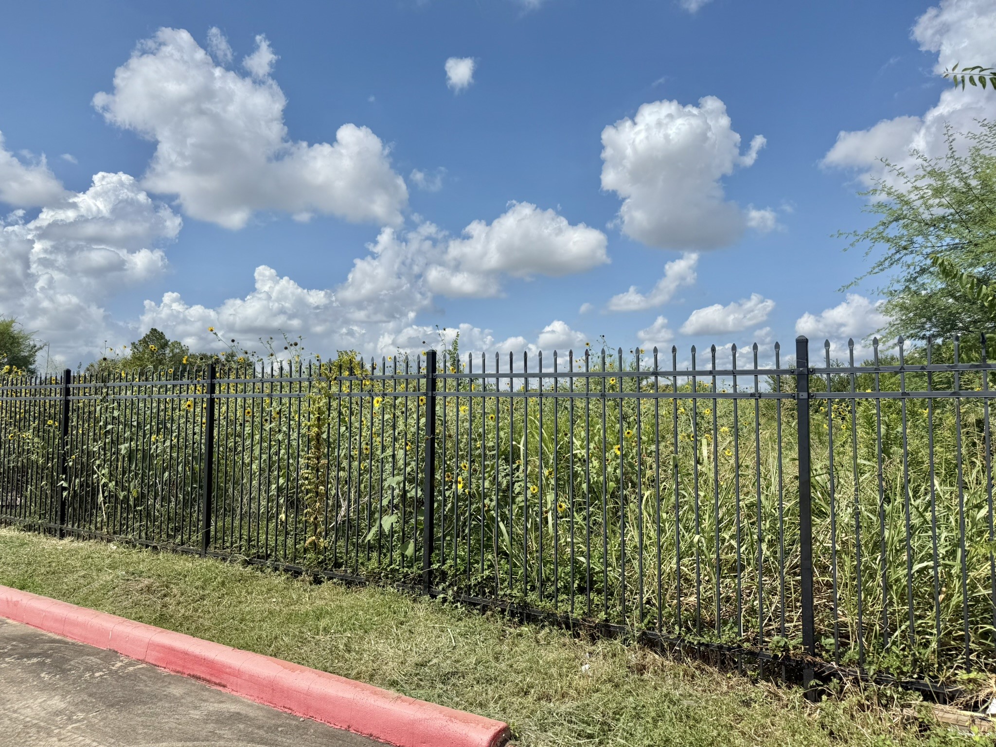 0 Alief Clodine Road Houston, TX 77082 - Photo 6 of 10